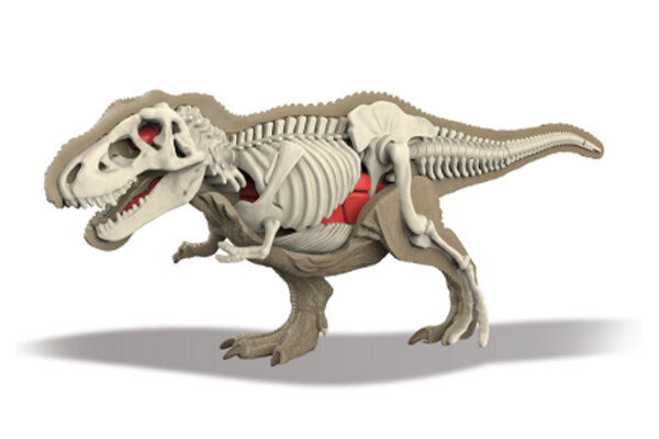 310-1 3D Tyrannosaurus Rex Skelett zum bauen