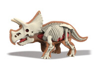 310-2 3D Triceratops Skelett zum bauen