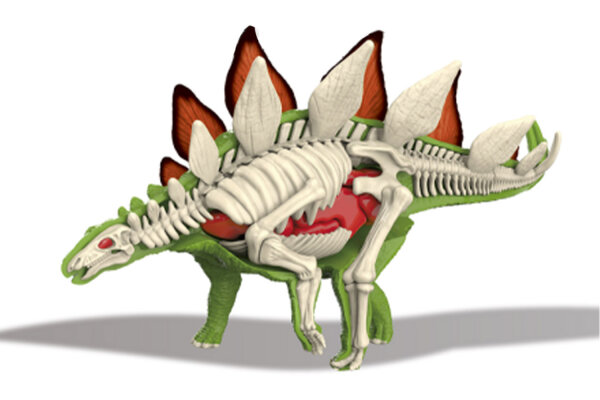 310-4 3D Stegosaurus Skelett zum bauen