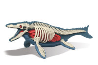 310-6 3D Mosasaurus Skelett zum bauen