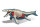 310-6 3D Mosasaurus Skelett zum bauen