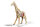 310-10 3D Giraffe Skelett zum bauen