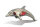 310-14 3D Delfin Skelett zum bauen